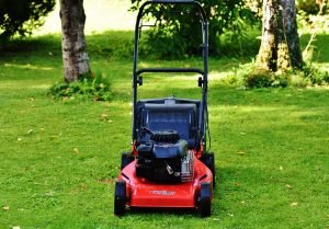 self-propelled mower in lawn