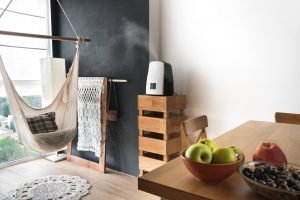 the best humidifier reviews