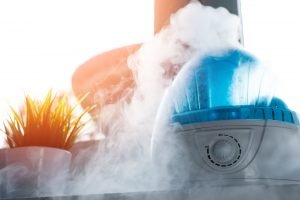best warm mist humidifier reviews and buying guide