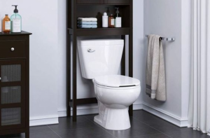 best quiet flush toilets reviews