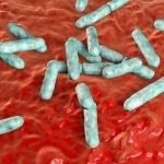 probiotics