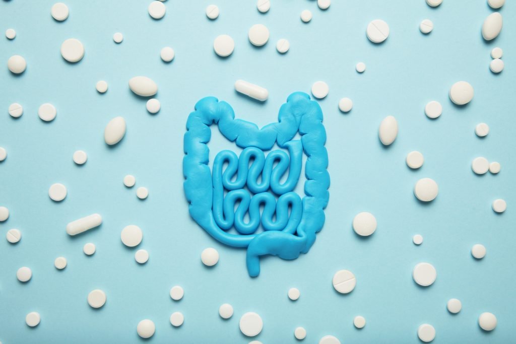 gut health and probiotics
