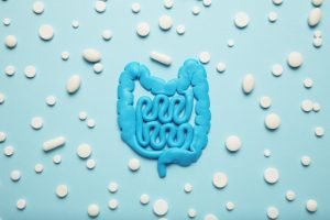 gut health and probiotics